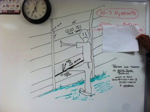 1454750_241742935984332_785896328_n